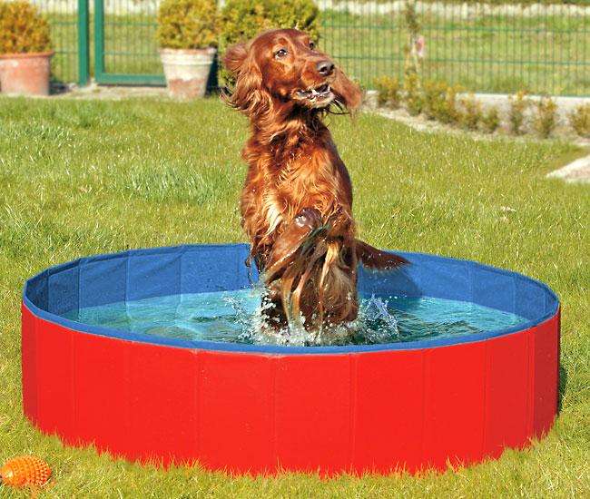 Karlie DOGGY POOL der Swimmingpool für Hunde &#...