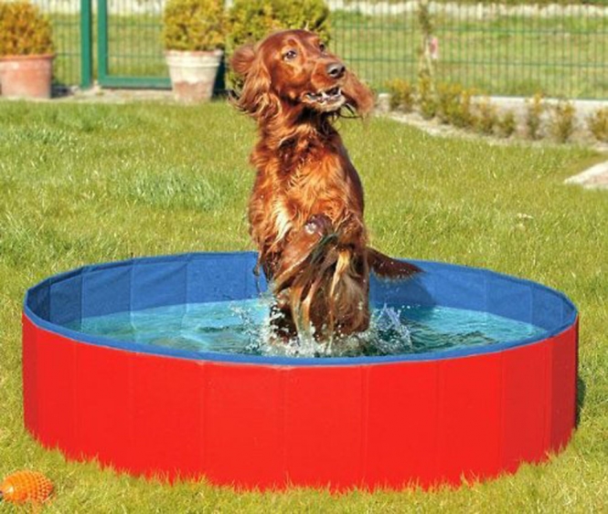 Karlie DOGGY POOL der Swimmingpool für Hunde &#...