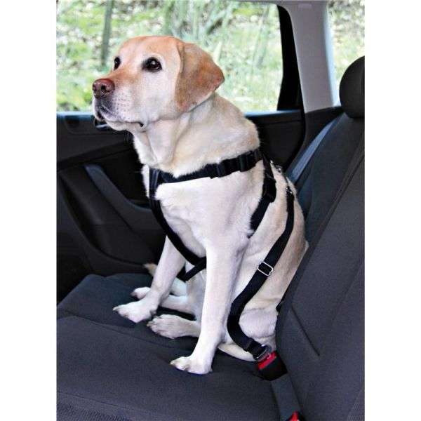 Trixie Auto-Sicherheitsgeschirr – L
